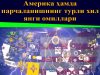 Америка ҳамда парчаланишнинг турли хил янги омиллари
