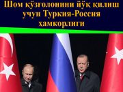 Шом қўзғолонини йўқ қилиш учун Туркия-Россия ҳамкорлиги