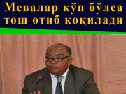 Мевалар кўп бўлса тош отиб қоқилади