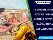 Умумий мулк бўлган “Жеруй” конида олтинни қайта ишлаш заводи очилди