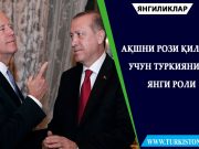 АҚШни рози қилиш учун Туркиянинг янги роли