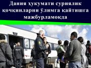 Дания ҳукумати суриялик қочқинларни ўлимга қайтишга мажбурламоқда
