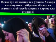 Истанбул конвенцияси ўрнига Анқара келишувини тайёрлаш аёллар ва жамият азоб-уқубатларини ҳаргиз ҳал этмайди!