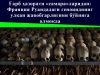 Ғарб ҳазорати «самара»ларидан: Франция Руандадаги геноциднинг улкан жавобгарлигини бўйнига олмоқда