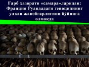 Ғарб ҳазорати «самара»ларидан: Франция Руандадаги геноциднинг улкан жавобгарлигини бўйнига олмоқда