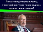 Йиллаб миқ этмаётган Рошид Ғаннушийнинг тили чиқди-ю, аммо мункар гапни гапирди!