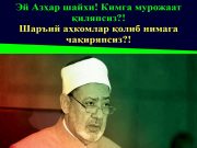 Эй Азҳар шайхи! Кимга мурожаат қиляпсиз?!