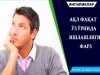 АҚЛ ФАҚАТ ЎЗ ЎРНИДА ИШЛАШЛИГИ ФАРЗ