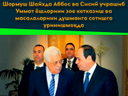 Шармуш Шайхда Аббос ва Сисий учрашиб Уммат ёшларини зое кетказиш ва масалаларини душманга сотишга уринишмоқда