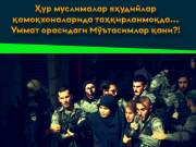 Ҳур муслималар яҳудийлар қамоқхоналарида таҳқирланмоқда…