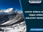 Қумтор бўйича икки ойдан кейин маълумот берилади