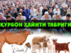Қурбон ҳайити табриги