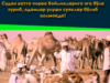 Судан катта чорва бойликларига эга бўла туриб, одамлар улуши суяклар бўлиб қолмоқда!