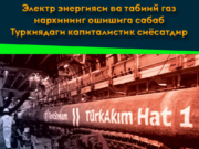 Электр энергияси ва табиий газ нархининг ошишига сабаб Туркиядаги капиталистик сиёсатдир