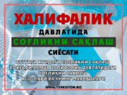 Бугунги кундаги соғлиқни сақлаш воқеъси ҳамда Халифалик давлатидаги соғлиқни сақлаш асослари ва унинг мақсадлари