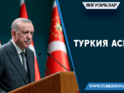 Туркия асри