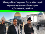 Малъун Бен-Гвирнинг Ақсога бостириб кириши мусулмон қўшинларни қўзғалишга ундайди