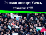 Эй икки миллард Уммат, токайгача?!!!