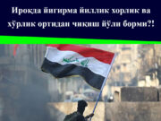 Ироқда йигирма йиллик хорлик ва хўрлик ортидан чиқиш йўли борми?!