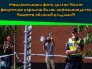 Мамлакатларни фатҳ қилган Уммат фақатгина қоралаш билан кифояланадиган Умматга айланиб қолдими?!