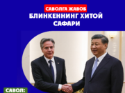 Блинкеннинг Хитой сафари