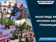 Фаластинда яна мусулмон қони тўкилмоқда