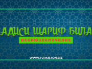 Иккиюзламачилик