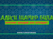 Омонат қандай зое бўлади?
