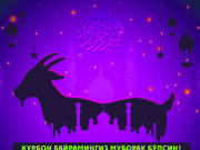 Қурбон байрамингиз муборак бўлсин!