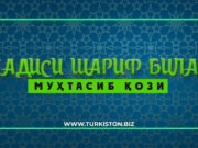 Муҳтасиб қози