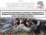 Эй мусулмон юртларидаги ҳукмдорлар, уялмайсизми?