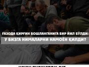 Ғазода қирғин бошланганига бир йил бўлди: У бизга нималарни намоён қилди?