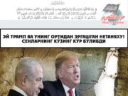 Эй Трамп ва унинг ортидан эргашган Нетаняху! Сенларнинг кўзинг кўр бўлибди