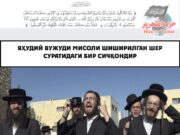 Яҳудий вужуди мисоли шиширилган шер суратидаги бир сичқондир